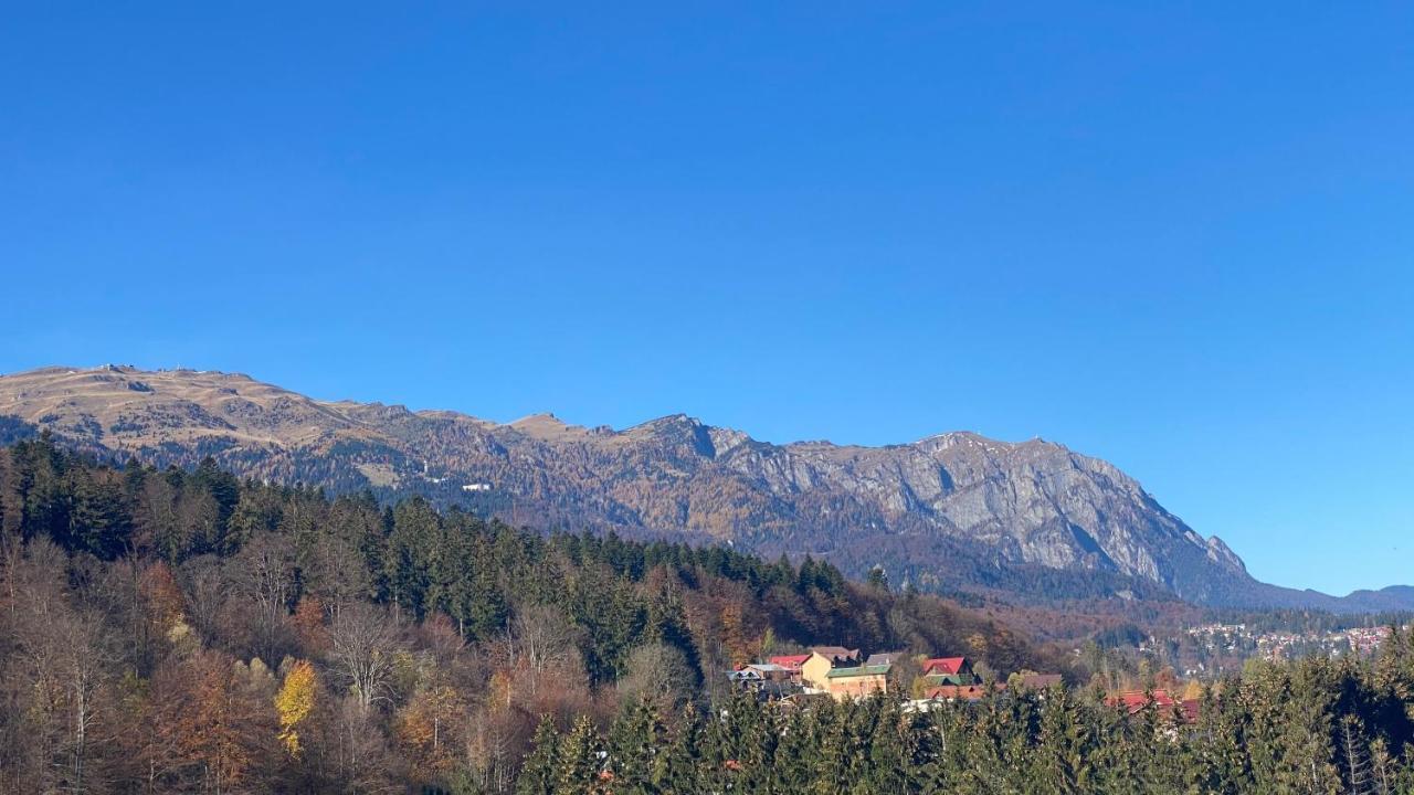 Perfect View Apartment Sinaia Exterior photo